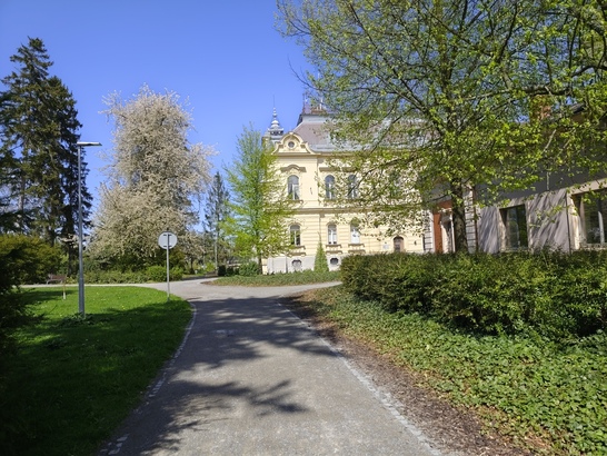 Xiaomi Redmi Note 14 Pro+ (Global)