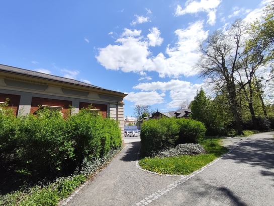 Xiaomi Redmi Note 14 Pro+ (Global)