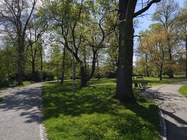 Xiaomi Redmi Note 14 Pro+ (Global)