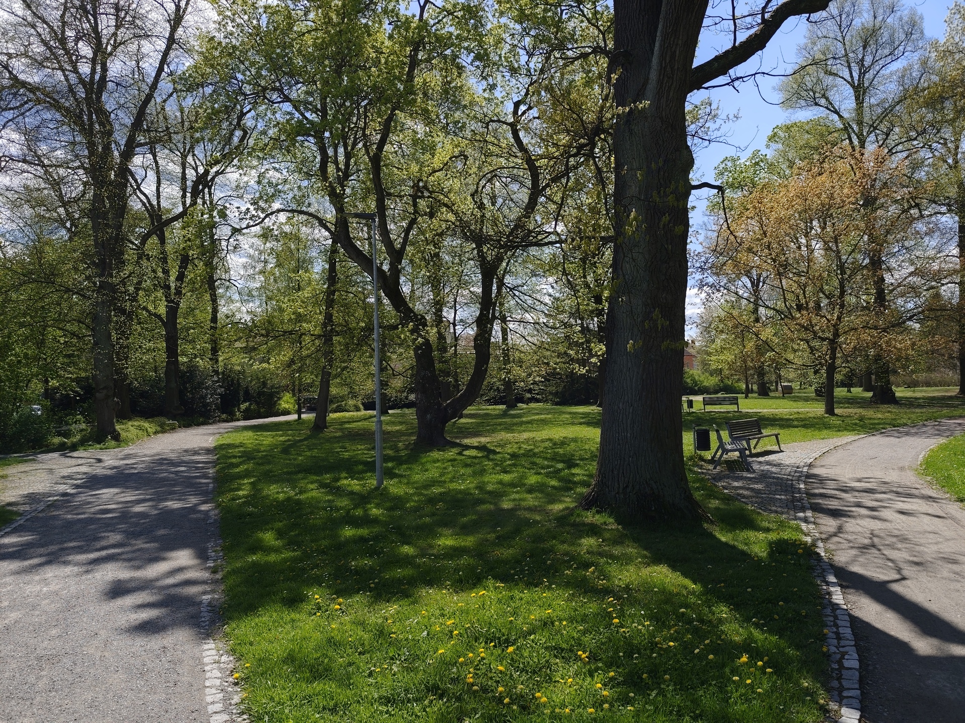 Xiaomi Redmi Note 14 Pro+ (Global)