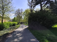 Xiaomi Redmi Note 14 Pro+ (Global)