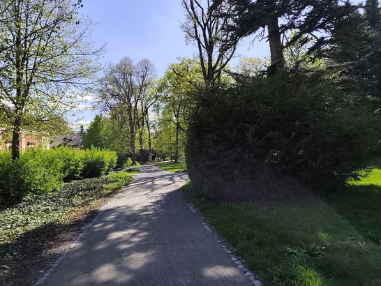 Xiaomi Redmi Note 14 Pro+ (Global)