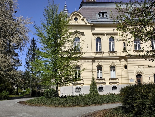 Xiaomi Redmi Note 14 Pro+ (Global)