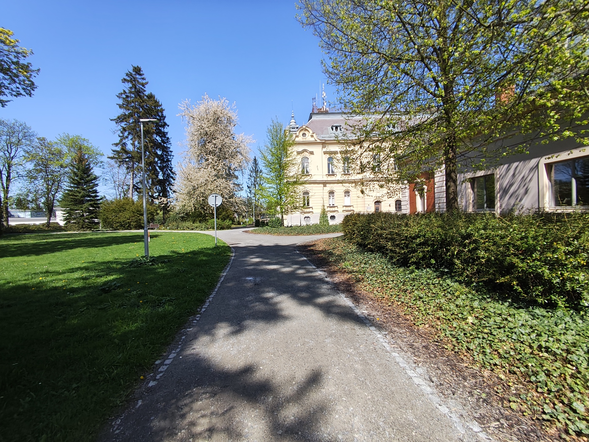 Xiaomi Redmi Note 14 Pro+ (Global)