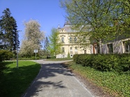 Xiaomi Redmi Note 14 Pro+ (Global)