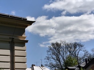 Xiaomi Redmi Note 14 Pro+ (Global)