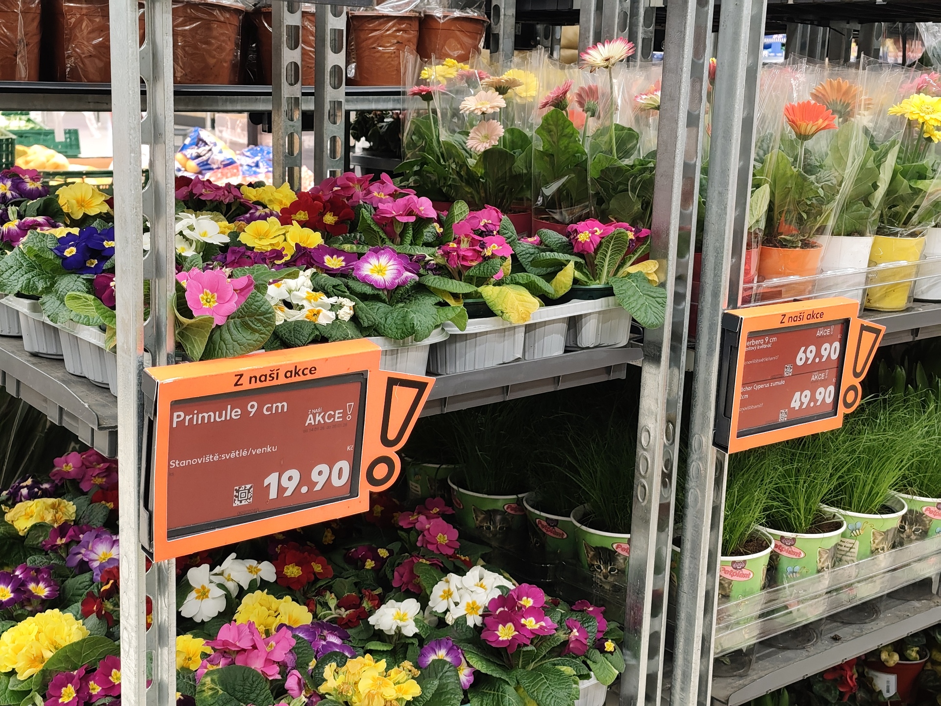 Xiaomi Redmi Note 15 Pro+ (Global)