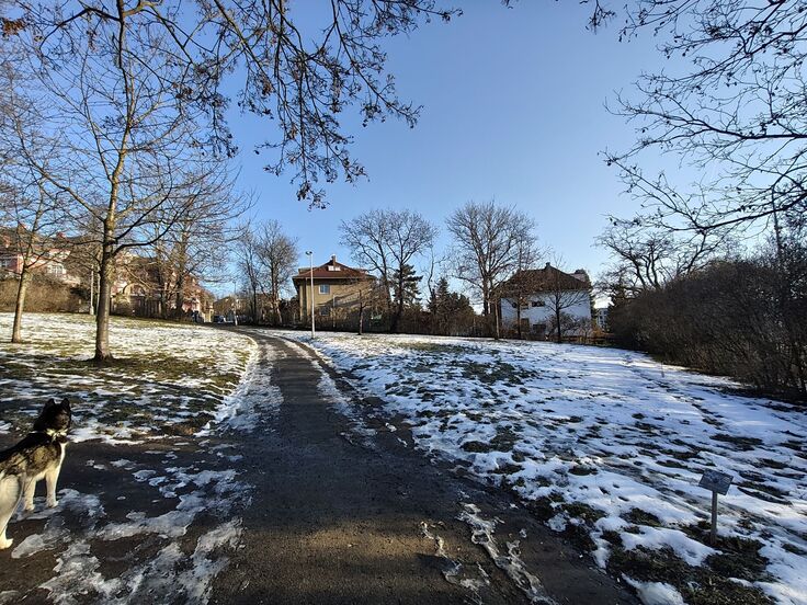 Xiaomi Redmi Note 15 Pro+ (Global)