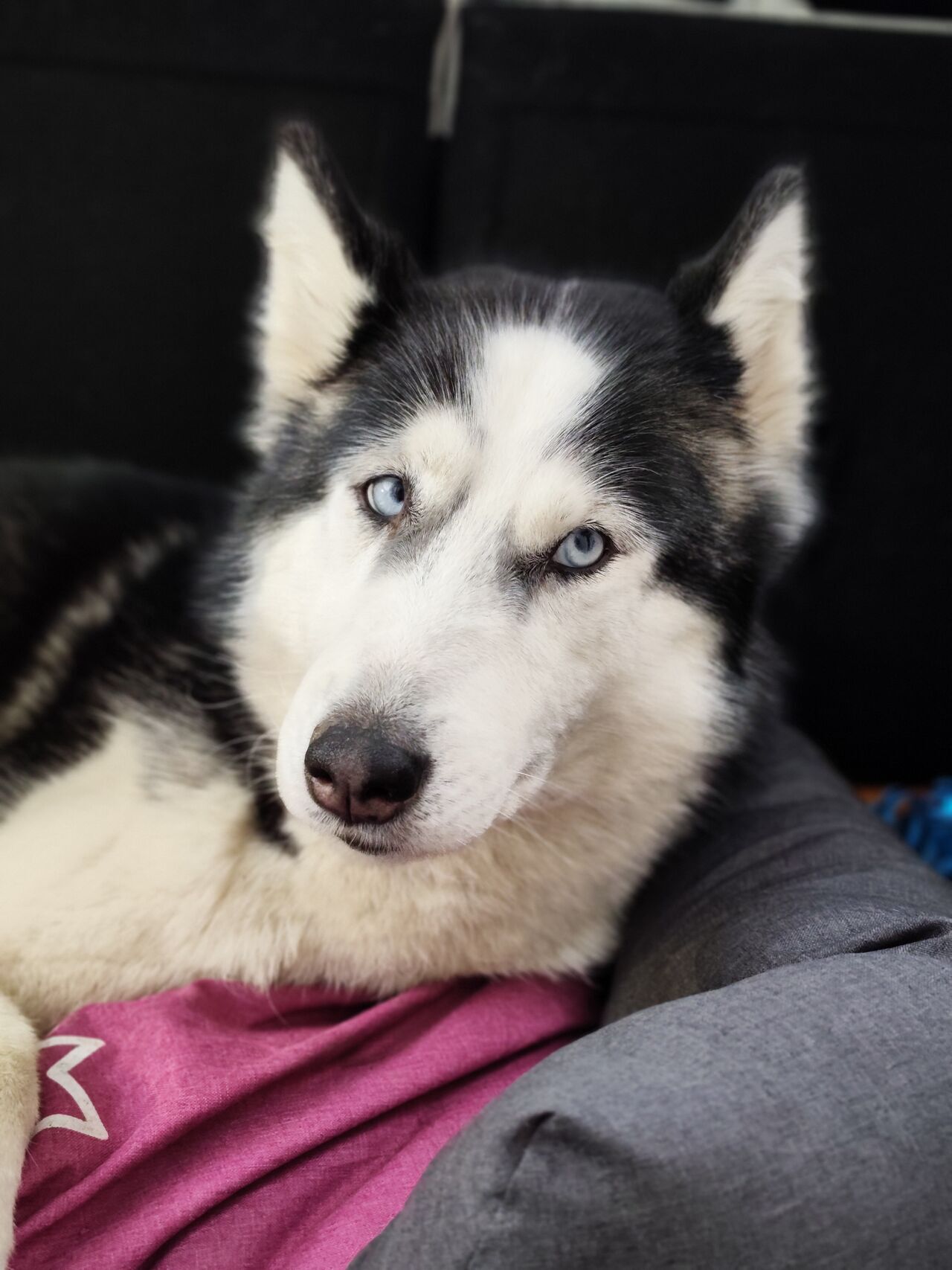 Xiaomi Redmi Note 15 Pro+ (Global)