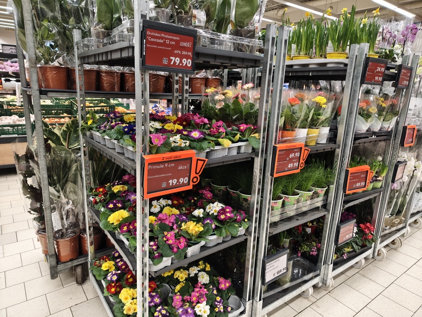 Xiaomi Redmi Note 15 Pro+ (Global)