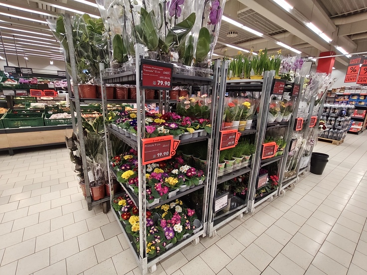 Xiaomi Redmi Note 15 Pro+ (Global)