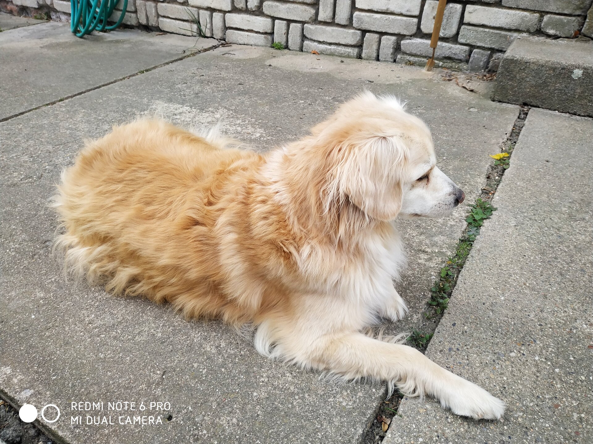 Xiaomi Redmi Note 6 Pro