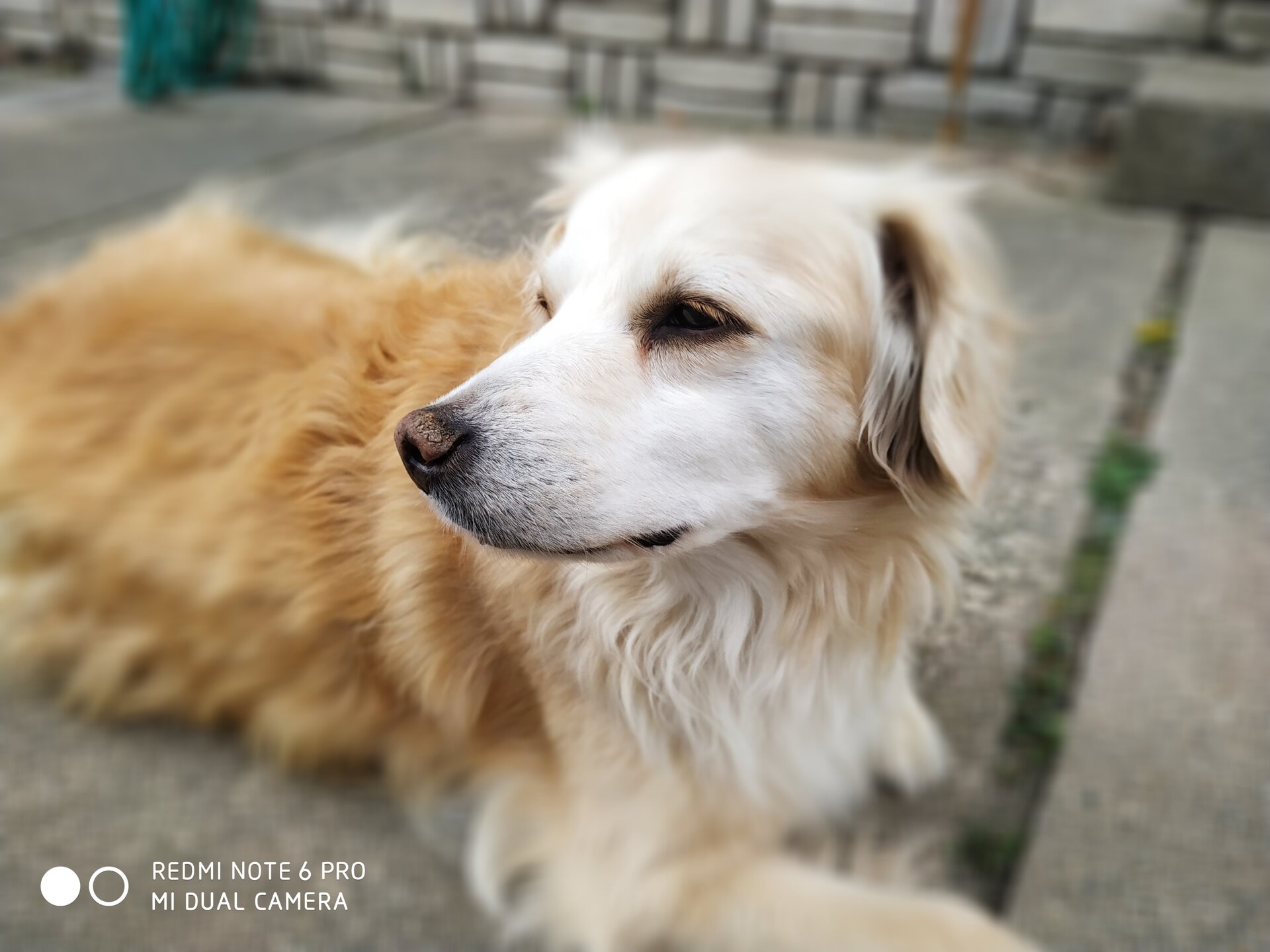 Xiaomi Redmi Note 6 Pro