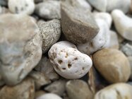 Xiaomi Redmi Note 6 Pro