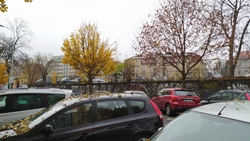 Xiaomi Redmi Note 8T