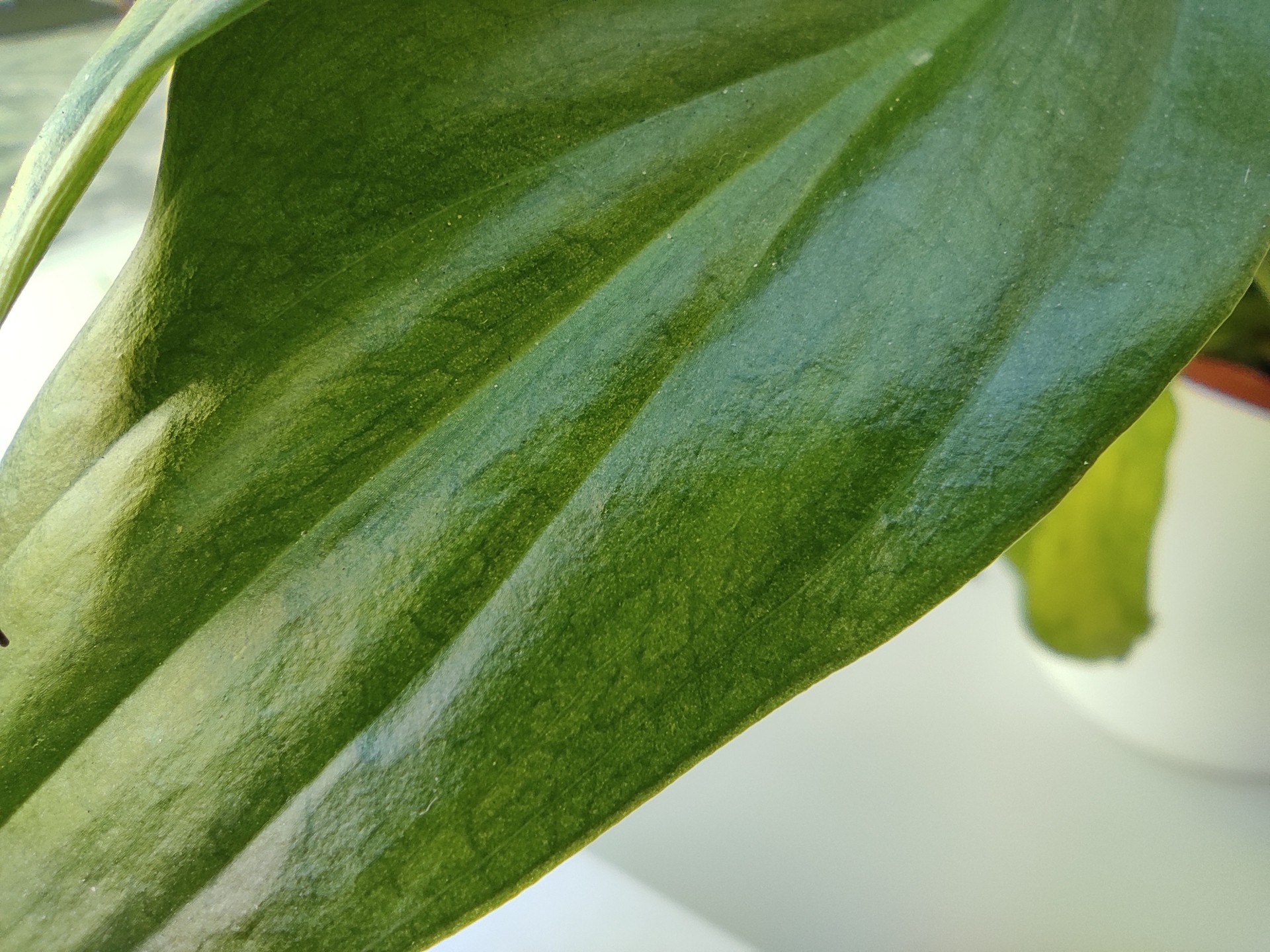 Xiaomi Redmi Note 9 Pro