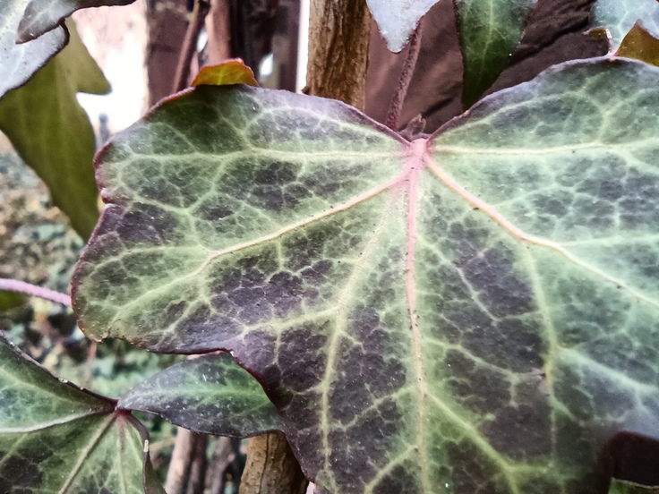 Xiaomi Redmi Note 9T