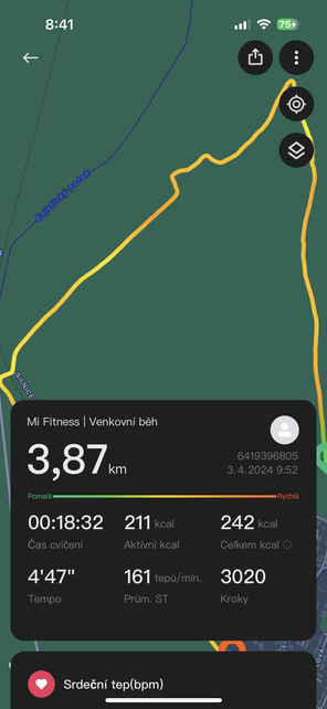 Xiaomi Smart Band 8 Pro