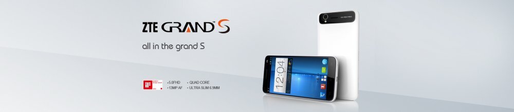 ZTE Grand S