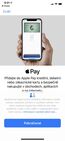 Apple Pay