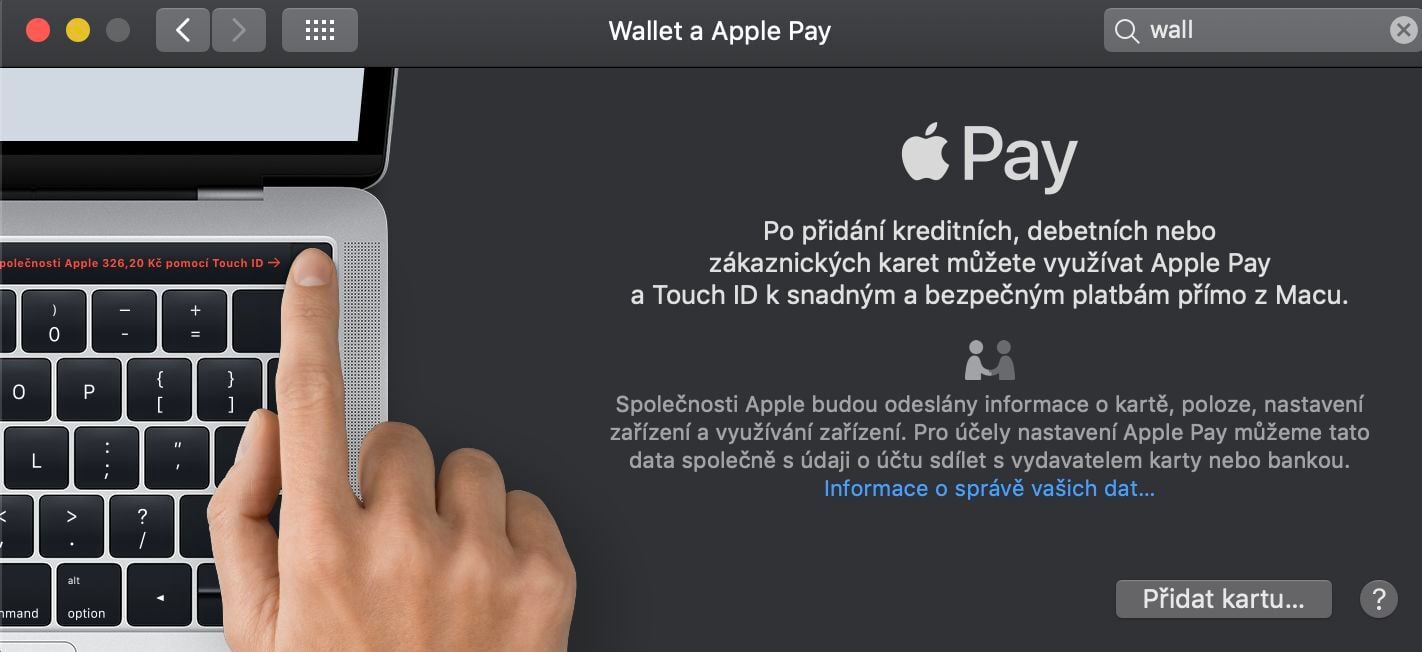 Apple Pay