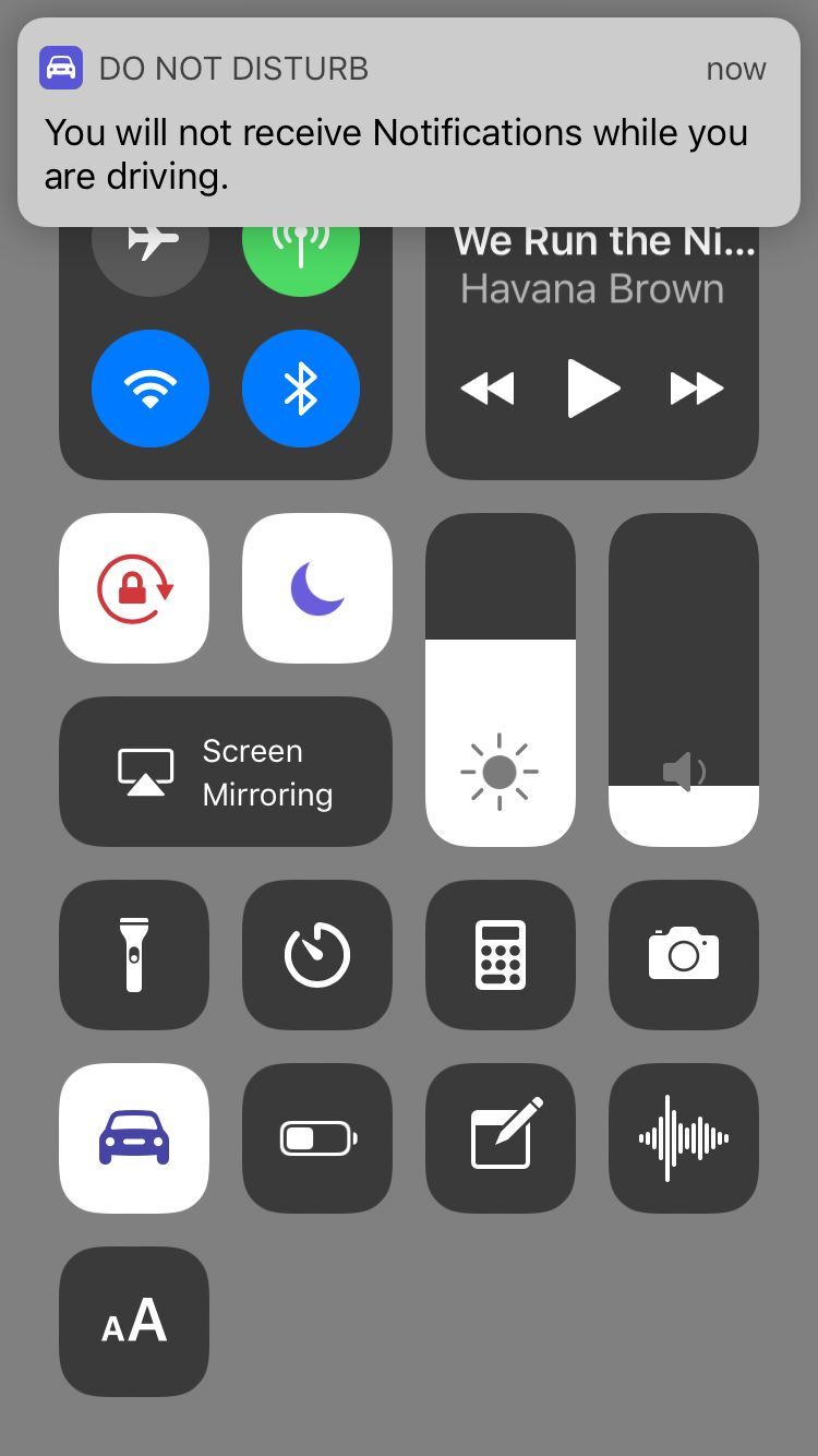 Apple Do Not Disturb