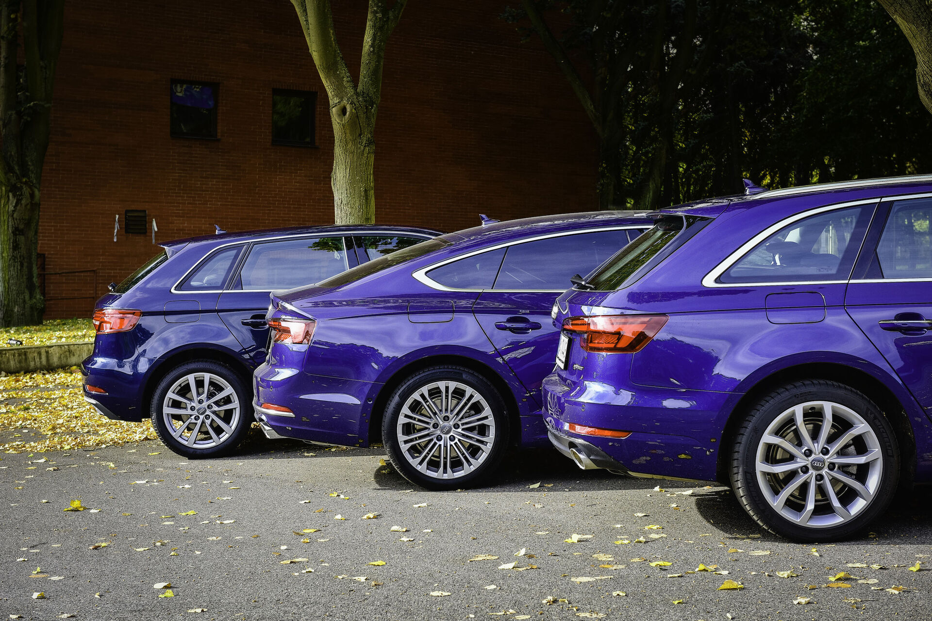 Audi A3, A4 a A5 g-tron