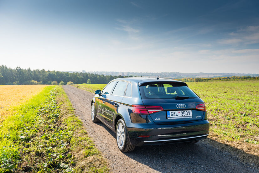 Audi A3 g-tron (2013)