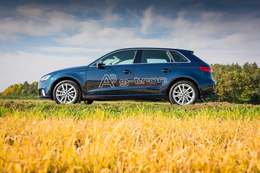Audi A3 g-tron (2013)