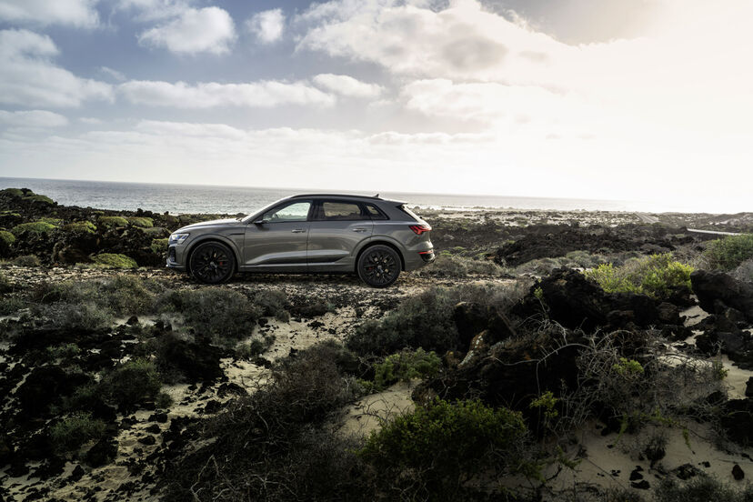 Audi Q8 e-tron