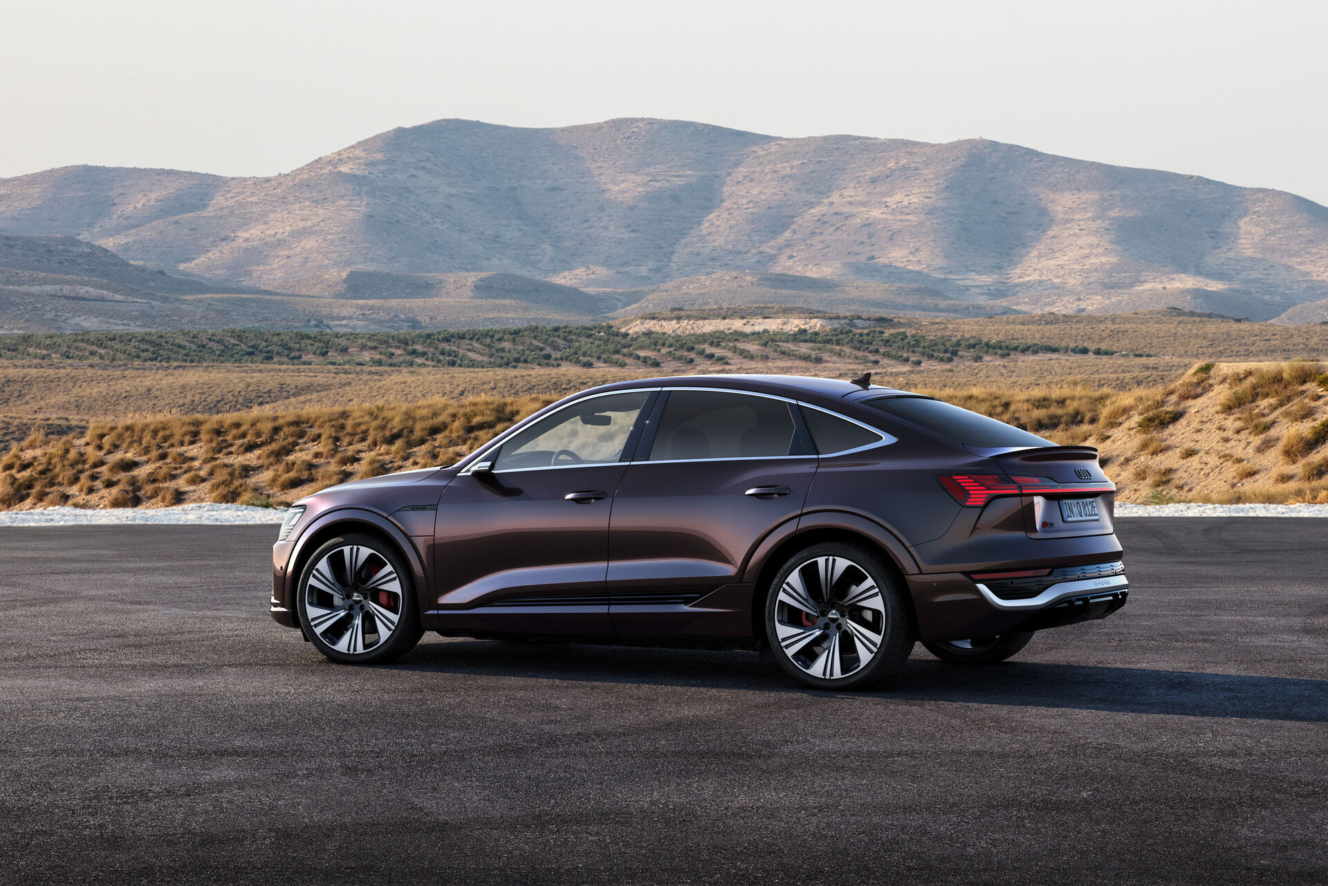Audi Q8 e-tron Sportback