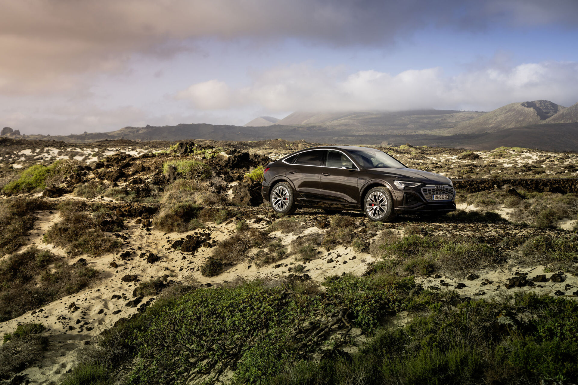 Audi Q8 e-tron Sportback