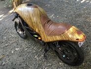 Banatti Green Falcon