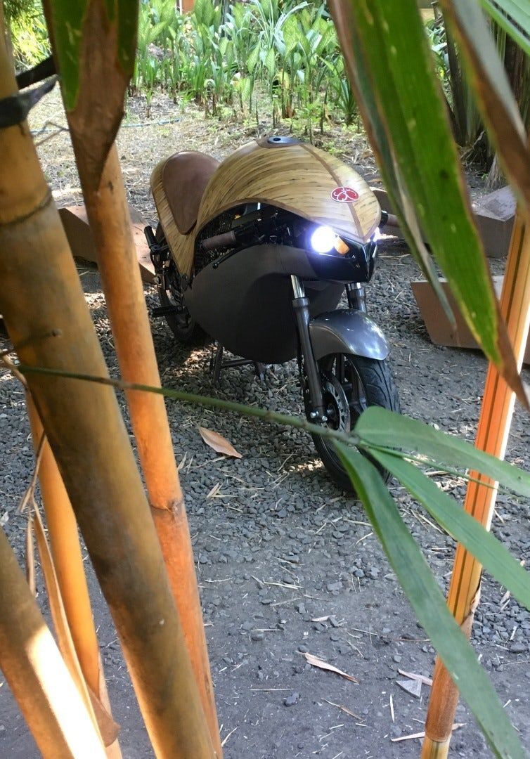 Banatti Green Falcon