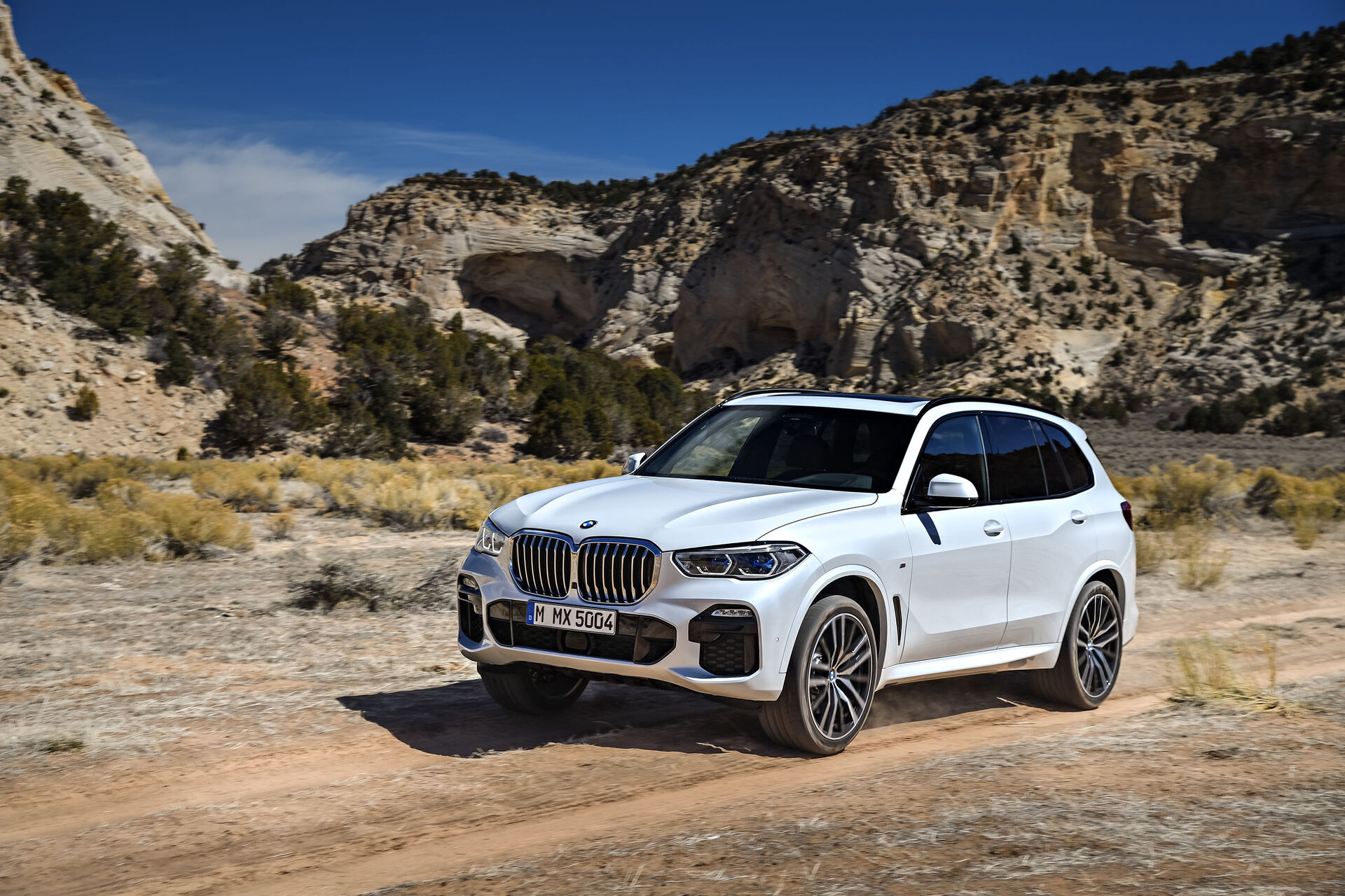 BMW X5 (2019)