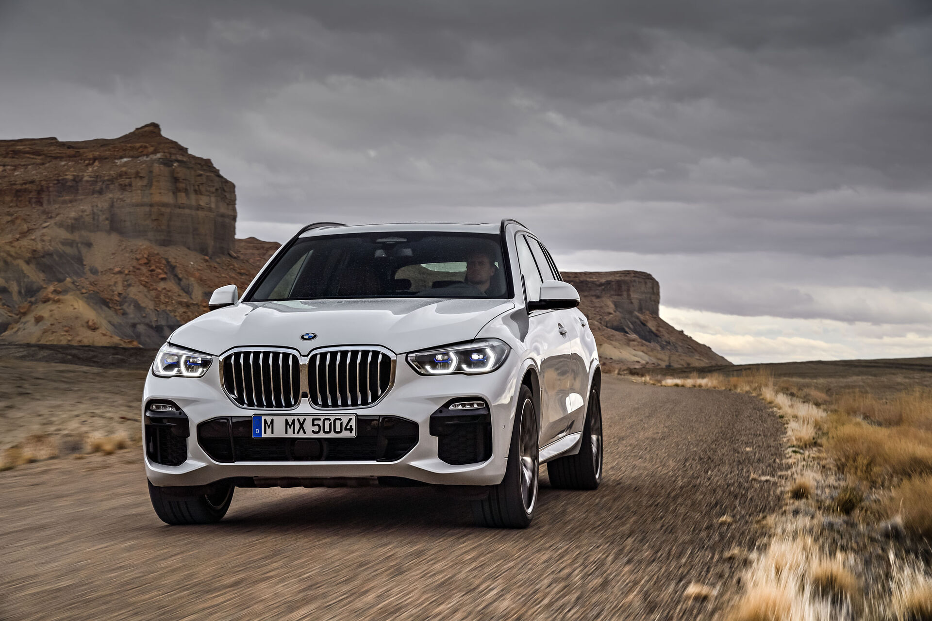BMW X5 (2019)