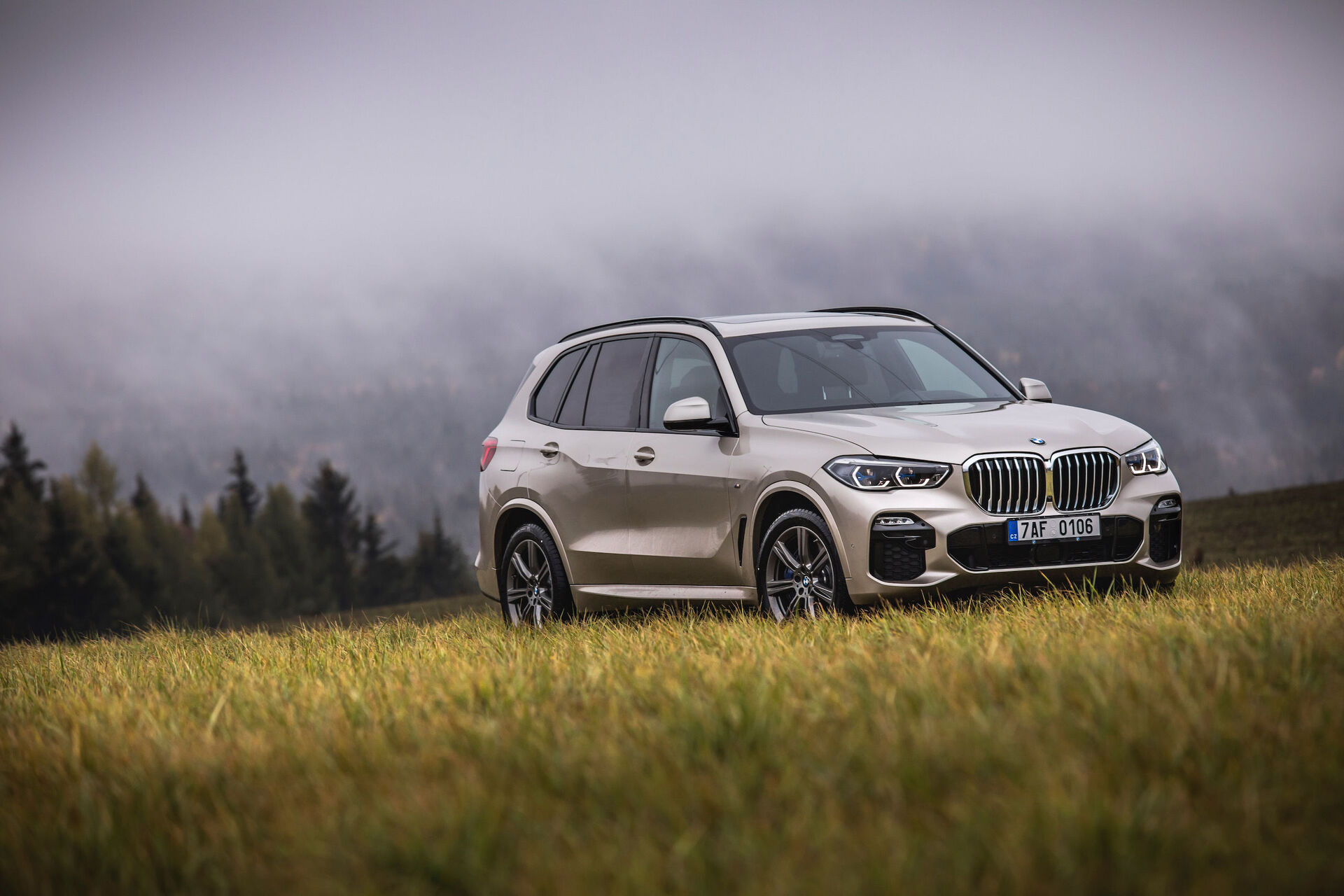 BMW X5 (2019)