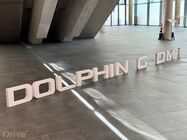 BYD Dolphin G DM-i