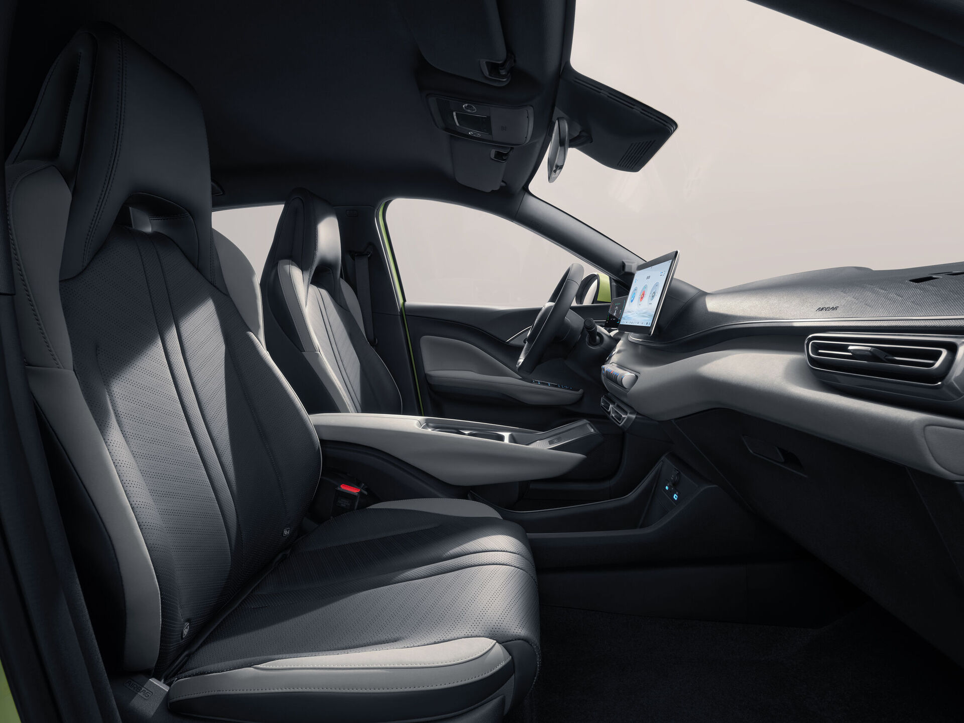 BYD Dolphin Surf