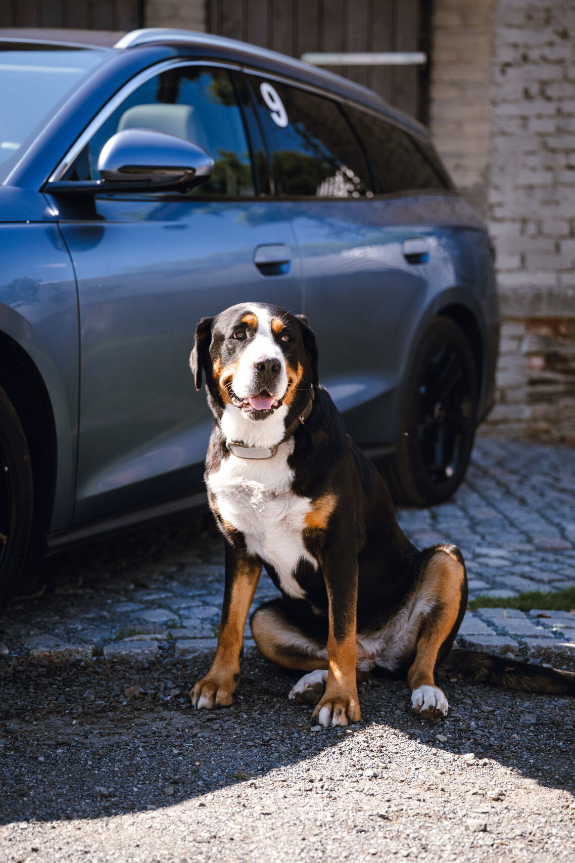 BYD Seal 6 DM-i Touring