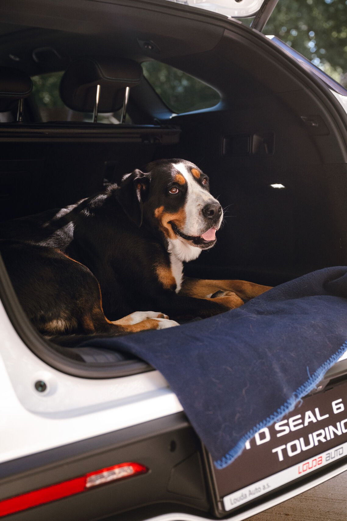 BYD Seal 6 DM-i Touring