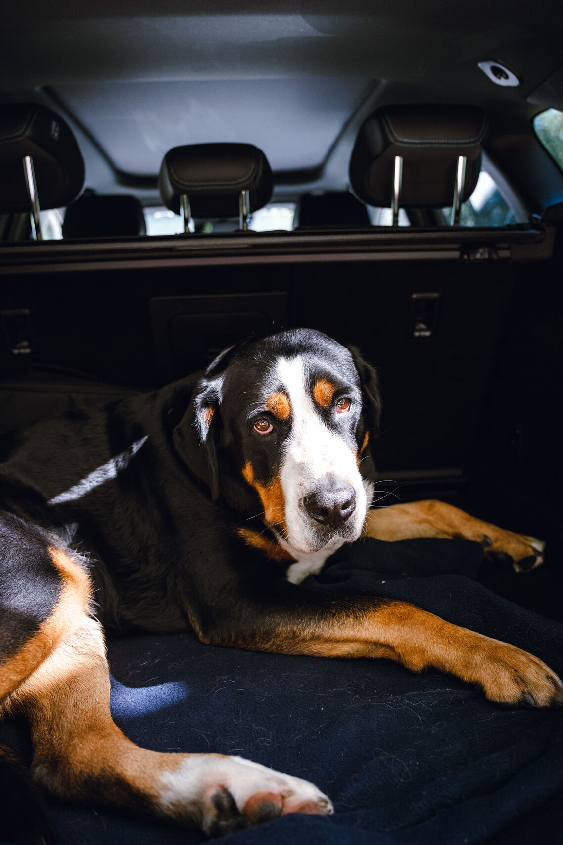 BYD Seal 6 DM-i Touring