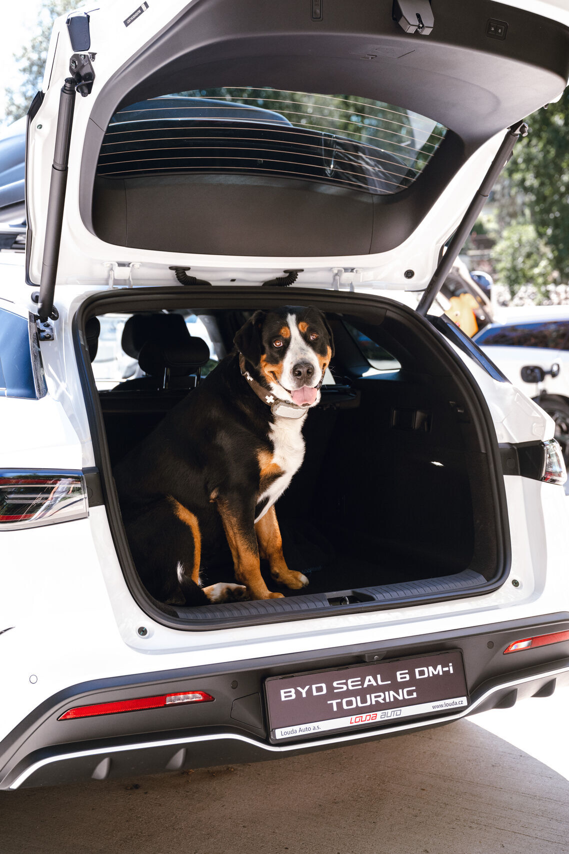 BYD Seal 6 DM-i Touring