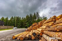 Čěští reprezentanti na Ardenne Roads ecoRally