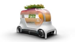 Citroën Skate Cozy Capsule