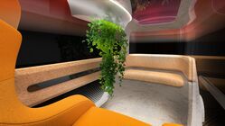 Citroën Skate Cozy Capsule