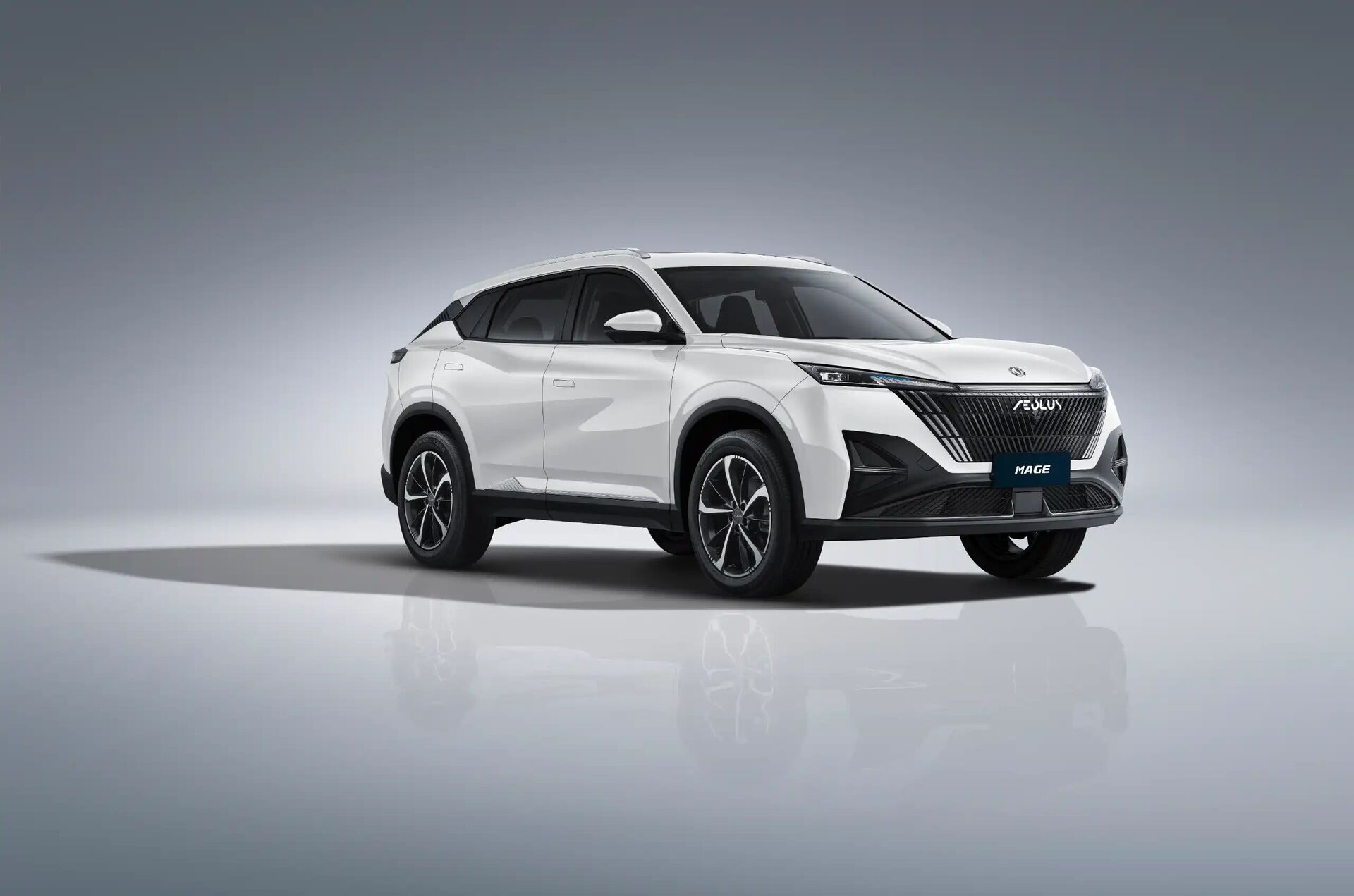 Dongfeng Mage