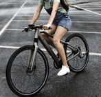 Elektrické kolo Calamus One