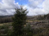 Elektromobilem s přívěsem