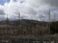 Elektromobilem s přívěsem